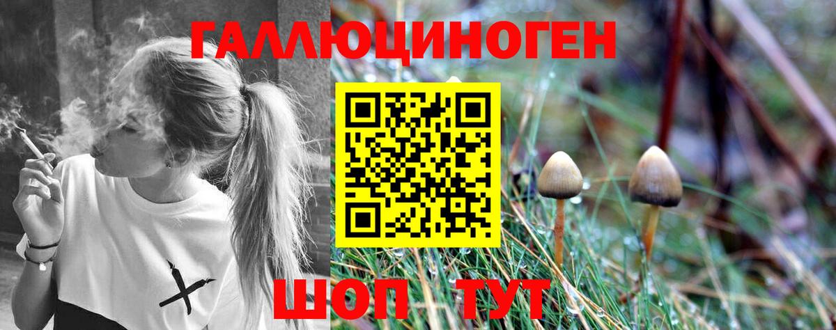 Барнаул  Псилоцибиновые грибы Magic Shrooms  Вход с VPN  Галлюциногенные грибы ЛСД 