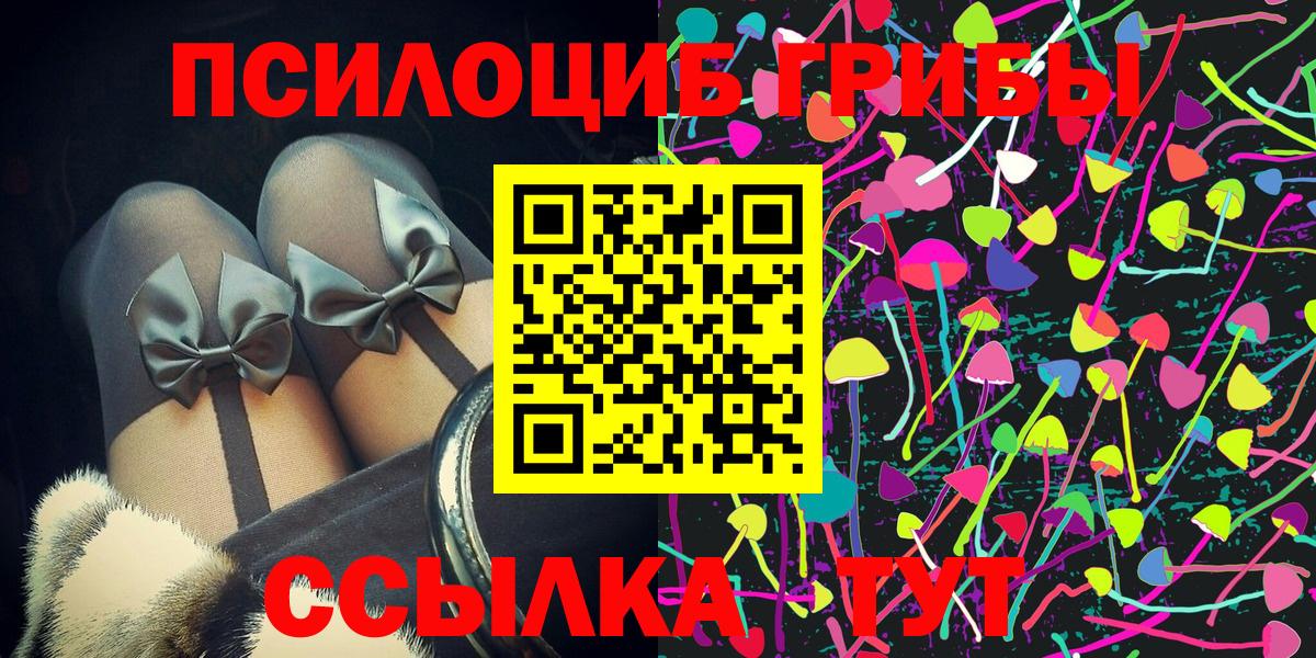 Галлюциногенные грибы Cubensis Барнаул